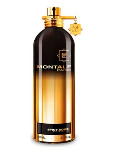 Montale Spicy Aoud TESTER
